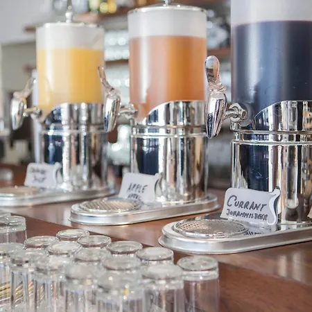 제빌라 프레이버그