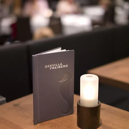 Seevilla Freiberg Hotel