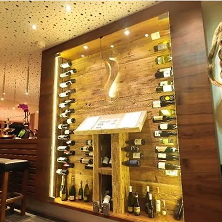 弗莱堡希维拉酒店 酒店